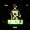 Mkokotlo (feat. Flxcko, Fai, Blaq Cargo, Fleezy) - Single album lyrics, reviews, download