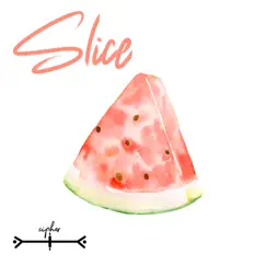 Slice - Single by DJ Cipher album reviews, ratings, credits