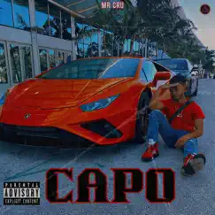 Capo - Single by Mr Cru album reviews, ratings, credits
