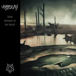 What Remains of the World by Vortesvin album reviews, ratings, credits