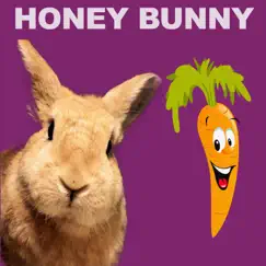 Abstraction by Techno Mama & Honey Bunny album reviews, ratings, credits