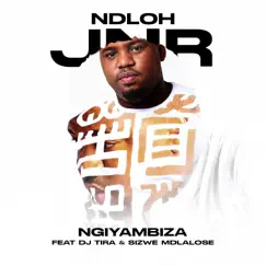Ngiyambiza (feat. DJ Tira & Sizwe Mdlalose) Song Lyrics