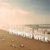 Diamond Walk - Single album lyrics, reviews, download