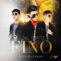El Del Porte Fino - Single by Alto Linaje album reviews, ratings, credits