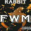 Fwm - Single album lyrics, reviews, download
