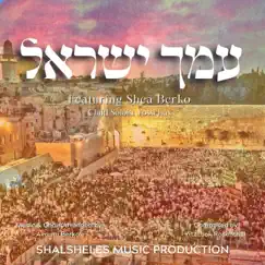 Amcha Yisroel (feat. Shea Berko) - Single by Shalsheles album reviews, ratings, credits
