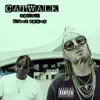 CATWALK (feat. MazeGwap) - Single album lyrics, reviews, download
