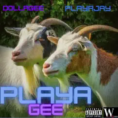 Playagee by DollaGee & PlayaJay album reviews, ratings, credits