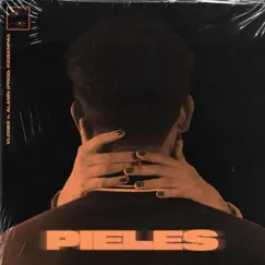 Pieles (feat. Alamn) - Single by Vlonee album reviews, ratings, credits