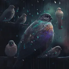 Sweet Sounding Rainy Birds Song Lyrics