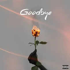 Goodbye - Single by Anexx Beats album reviews, ratings, credits
