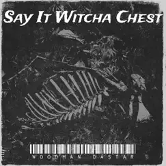 Say It Witcha Chest - Single by Woodman DaStar album reviews, ratings, credits