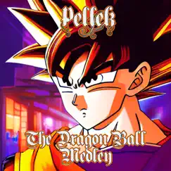 The Dragon Ball Medley by PelleK album reviews, ratings, credits
