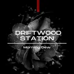 Morning Dew - Single by Driftwood Station album reviews, ratings, credits