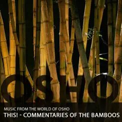 This! - Commentaries of the Bamboos by Music from the World of Osho album reviews, ratings, credits
