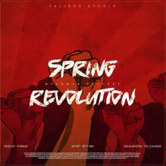 Spring Revolution - Single by B R O W N album reviews, ratings, credits