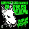 La perra mas brava - Single album lyrics, reviews, download