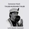 Zameener Nush (Shina Song) - Single album lyrics, reviews, download