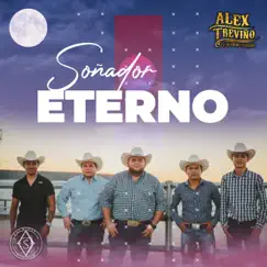 Soñador Eterno - Single by Alex Treviño y su Grupo Terrenal album reviews, ratings, credits