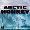 Arctic Monkey - Single album lyrics, reviews, download