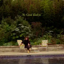 No Good Kudzu - Single by Kylie Dailey album reviews, ratings, credits