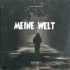 Meine Welt - Single album lyrics, reviews, download