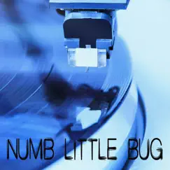 Numb Little Bug (Originally Performed by Em Biehold) [Instrumental] Song Lyrics