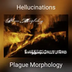 Hellucinations Song Lyrics