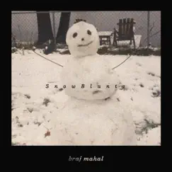 SnowBluntz - Single by Braj mahal album reviews, ratings, credits