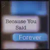 Because You Said Forever - Single album lyrics, reviews, download