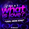 Beat What is Love? - Viral Meme Song song lyrics