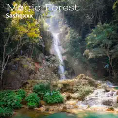 Magic Forest Song Lyrics