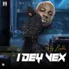 I Dey Vex - Single album lyrics, reviews, download