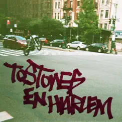 Tostones En Harlem Song Lyrics