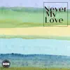 Never My Love - Single album lyrics, reviews, download