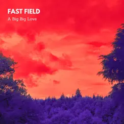 A Big Big Love - Single by Fast Field album reviews, ratings, credits