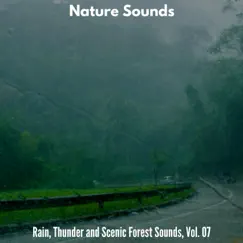 Nature Sounds - Rain, Thunder and Scenic Forest Sounds, Vol. 07 by Various Artists album reviews, ratings, credits