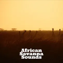 African Nature Soundscape Song Lyrics
