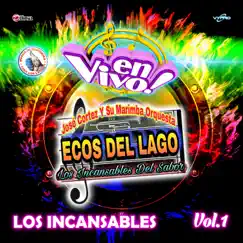 Mix Incansable Amores Fracasados: Fracaso de Amor / Amores Que Van y Vienen (En Vivo) Song Lyrics