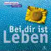 Wer ist wie du (feat. Daniel Janz) song lyrics