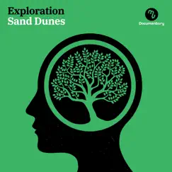 Exploration - Sand Dunes by Matthew Clark, Lucas Napoleone, Gabriel Marini & François Maigret album reviews, ratings, credits