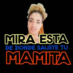 Mira Esta De Donde Saliste Tu Mamita - Single by Dj Roderick album reviews, ratings, credits