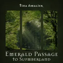 Emerald Passage to Slumberland by Tina Amalier album reviews, ratings, credits