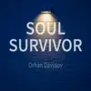 Soul Survivor - Single album lyrics, reviews, download