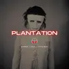 Plantation song lyrics