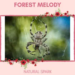 Forest Melody - Natural Spark by Nature Ambience & Nature Radiance Project album reviews, ratings, credits