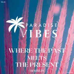 Where the Past Meets the Present of Deep House (Background Music) [Instrumental Deep House Version] by PARADISE VIBES album reviews, ratings, credits