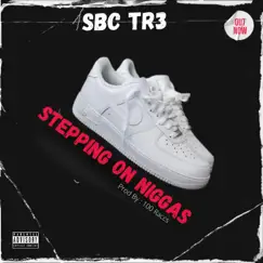 Stepping On N****s - Single by SBC TR3 album reviews, ratings, credits