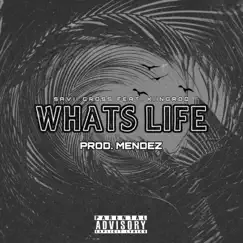 Whats Life (feat. Kiingrod) Song Lyrics