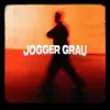 jogger grau (feat. actimell0 & 214*) - Single album lyrics, reviews, download